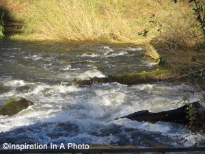 River rapids in fall
