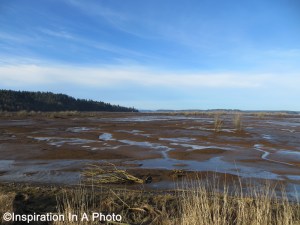 Landscape at low tide