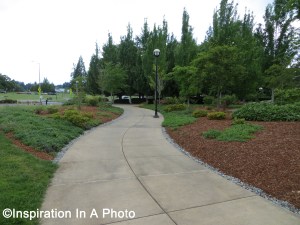 Manicured_meandering path