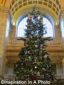 Capitol Christmas tree_2015
