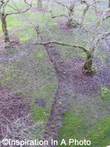 Trees with faux creek