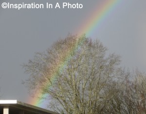 Rainbow in stormy skies