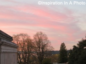 Sunset over city_pink sky