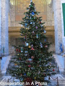 Capitol Christmas tree 2016