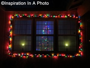 Lit window with tree_night