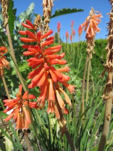 Instagram profile picture